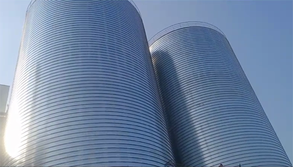 凤台2座混凝土高架卷板仓